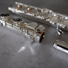 Load image into Gallery viewer, Di Zhao 100 Debut with straight and curved headjoint