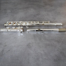 Load image into Gallery viewer, Di Zhao 100 Debut with straight and curved headjoint