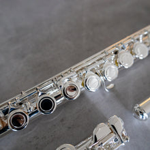 Load image into Gallery viewer, Di Zhao 100 Debut with straight and curved headjoint