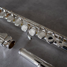 Load image into Gallery viewer, Di Zhao 100 Debut with straight and curved headjoint