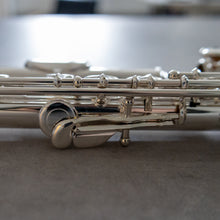 Load image into Gallery viewer, Di Zhao 100 Debut with straight and curved headjoint