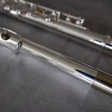 Load image into Gallery viewer, Di Zhao 100 Debut with straight and curved headjoint