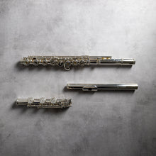 Load image into Gallery viewer, Powell Handmade Conservatory RBEO