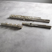 Load image into Gallery viewer, Powell Handmade Conservatory RBEO