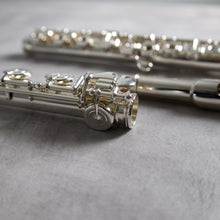 Load image into Gallery viewer, Powell Handmade Conservatory RBEO