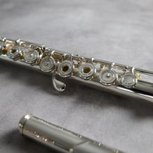 Load image into Gallery viewer, Powell Handmade Conservatory RBEO