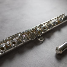 Load image into Gallery viewer, Powell Handmade Conservatory RBEO