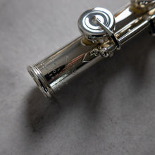 Load image into Gallery viewer, Powell Handmade Conservatory RBEO