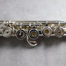 Load image into Gallery viewer, Powell Handmade Conservatory RBEO