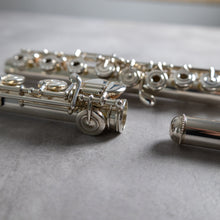 Load image into Gallery viewer, Haynes Q3 RBEO