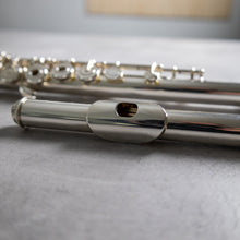 Load image into Gallery viewer, Haynes Q3 RBEO