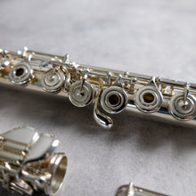 Load image into Gallery viewer, Haynes Q3 RBEO