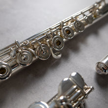 Load image into Gallery viewer, Haynes Q3 RBEO