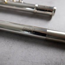 Load image into Gallery viewer, Haynes Q3 RBEO