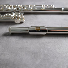 Load image into Gallery viewer, Muramatsu DS RBEOH