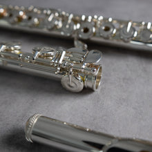 Load image into Gallery viewer, Muramatsu DS RBEOH