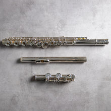 Load image into Gallery viewer, Muramatsu DS RCEO