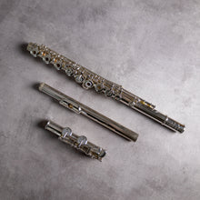 Load image into Gallery viewer, Muramatsu DS RCEO