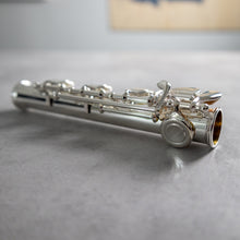 Load image into Gallery viewer, Di Zhao Solid Silver B footjoint