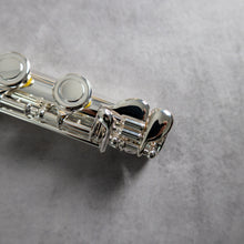 Load image into Gallery viewer, Di Zhao Solid Silver B footjoint