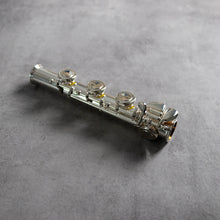 Load image into Gallery viewer, Di Zhao - Silver Plated B foot joint