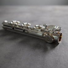 Load image into Gallery viewer, Di Zhao Solid Silver B footjoint