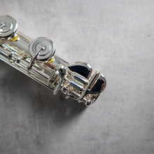 Load image into Gallery viewer, Di Zhao - Silver Plated B foot joint