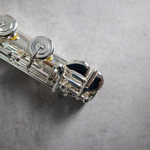 Load image into Gallery viewer, Di Zhao Solid Silver B footjoint