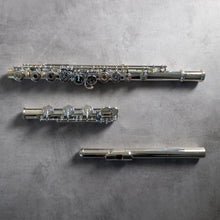 Load image into Gallery viewer, North Bridge 700 RBEO