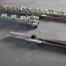 Load image into Gallery viewer, North Bridge 700 RBEO