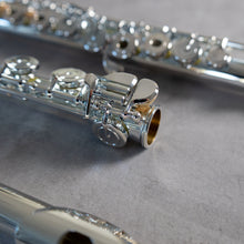 Load image into Gallery viewer, North Bridge 700 RBEO