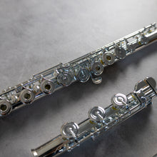 Load image into Gallery viewer, North Bridge 700 RBEO