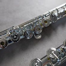 Load image into Gallery viewer, North Bridge 700 RBEO