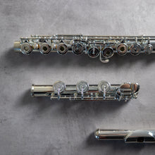 Load image into Gallery viewer, North Bridge 700 RBEO