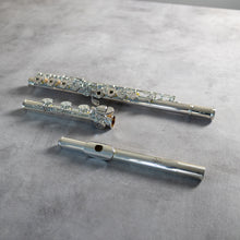 Load image into Gallery viewer, North Bridge 700 RBEO