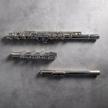 Load image into Gallery viewer, North Bridge 600