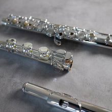 Load image into Gallery viewer, North Bridge 600