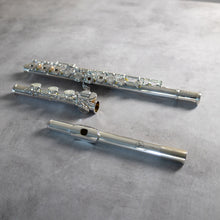 Load image into Gallery viewer, North Bridge 600