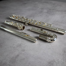 Load image into Gallery viewer, Pre-owned Trevor James 10xE CCEO #66507 with Straight and Curved Headjoints