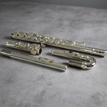 Load image into Gallery viewer, Pre-owned Trevor James 10xE CCEO #66507 with Straight and Curved Headjoints