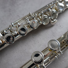 Load image into Gallery viewer, Pre-owned Trevor James 10xE CCEO #66507 with Straight and Curved Headjoints