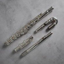 Load image into Gallery viewer, Pre-owned Trevor James 10xE CCEO #66507 with Straight and Curved Headjoints