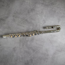 Lataa kuva Galleria-katseluun, Käytetty Di Zhao Minidi #1905071