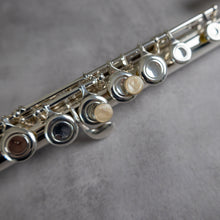 Lataa kuva Galleria-katseluun, Käytetty Di Zhao Minidi #1905071