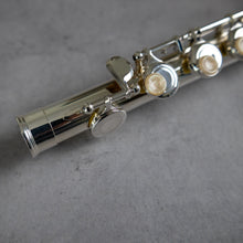 Lataa kuva Galleria-katseluun, Käytetty Di Zhao Minidi #1905071