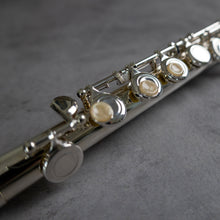 Lataa kuva Galleria-katseluun, Käytetty Di Zhao Minidi #1905071