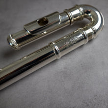 Lataa kuva Galleria-katseluun, Käytetty Di Zhao Minidi #1905071