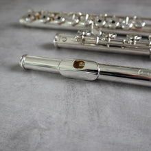 Load image into Gallery viewer, Pre-owned Burkart Professional .018 RBIH #10016