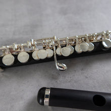 Load image into Gallery viewer, Haynes Amadeus AP86 Piccolo