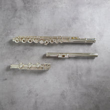 Load image into Gallery viewer, Muramatsu DS RBEO